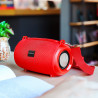 Borofone BR4 Altavoz BT