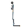 Flex De Botón Home Para IPad 5 2017 / IPad 2018 / A1822 /A1823 / A1893 / A1954 Negro