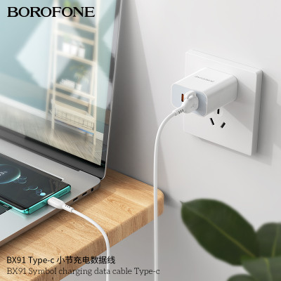 Borofone BX91 Cable Datos/Carga Con Gancho USB - Type C